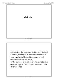 Meiosis Intro.notebook
