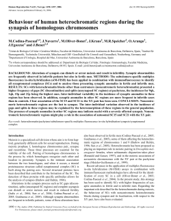 Behaviour of human heterochromatic regions