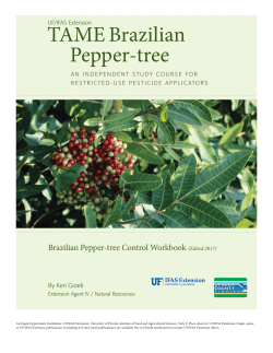 TAME Brazilian Pepper-tree Workbook