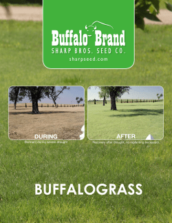 buffalograss - Sharp Bros. Seed Co.
