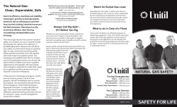 The Natural Gas: Clean, Dependable, Safe