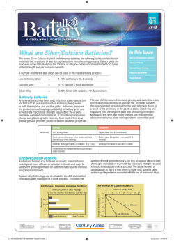 CY103-960 BatteryTalk Newsletter (Issue01).indd