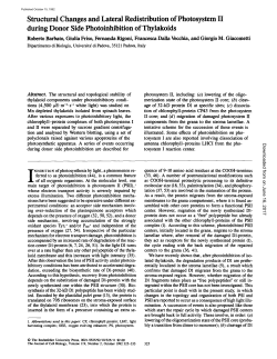 Structural Changes and Lateral Redistribution of Photosystem II