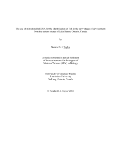 Natalie Taylor Thesis - 0338615