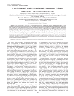 Is Morphology Really at Odds with Molecules in Estimating Fern