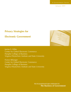 Privacy Strategies for Electronic Government Janine S. Hiller
