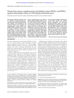 Human bone marrow megakaryocytes and platelets