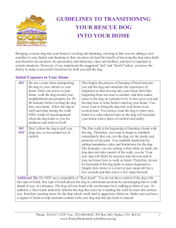 Adding another Dog to your Home?