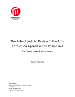 The Role of Judicial Review in the Anti