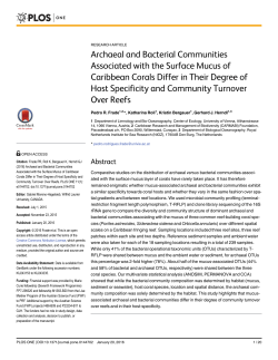 Archaeal and Bacterial Communities Associated with the Surface