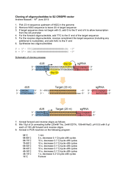 Cloning of oligonucleotides to S2 CRISPR vector F = 5