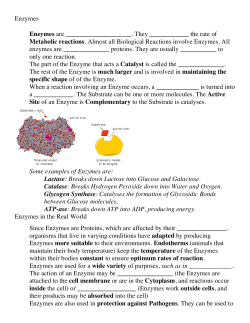 Enzymes
