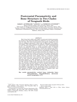 Postcranial Pneumaticity and Bone Structure in