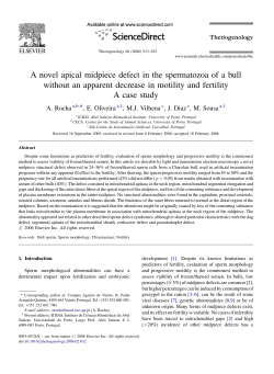 A novel apical midpiece defect in the spermatozoa of a bull without
