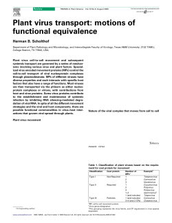 Plant virus transport: motions of functional equivalence