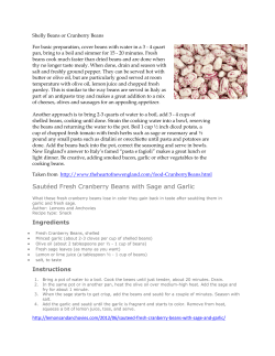 Shelly Beans - Geneva Lakes Produce