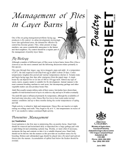 Management of Flies in Layer Barns