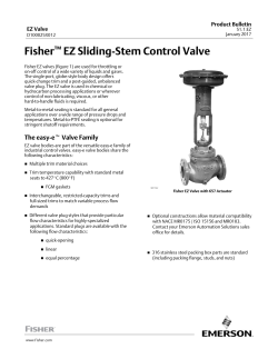 Fisher&trade; EZ Sliding-Stem Control Valve