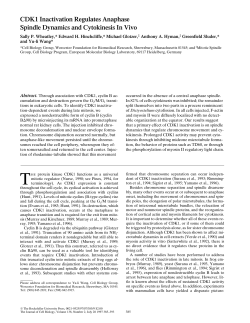 CDK1 Inactivation Regulates Anaphase Spindle
