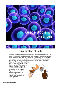Grade 8 Science