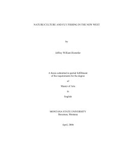 NATURE/CULTURE AND FLY FISHING IN THE