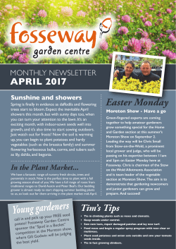 our April Newsletter