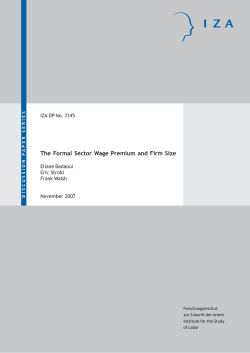 The Formal Sector Wage Premium and Firm Size