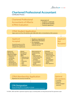 Chartered Professional Accountant