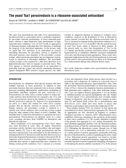 The yeast Tsa1 peroxiredoxin is a ribosome