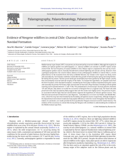 Evidence of Neogene wildfires in central Chile