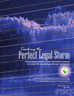 PerfectLegalStorm COVER fulldoc.indd