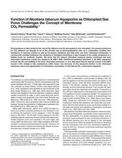 Function of Nicotiana tabacum Aquaporins as