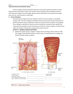 Laboratory Exercise and Activity