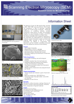 Infosheet Scanning Electron Microscopy