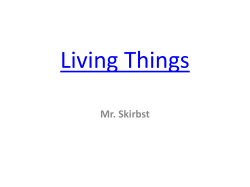 Living Things