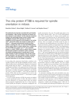 The cilia protein IFT88 is required for spindle orientation in mitosis