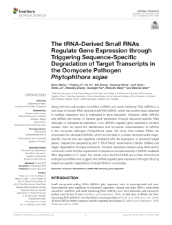 The tRNA-Derived Small RNAs Regulate Gene Expression through