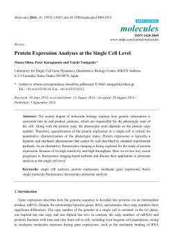 Protein Expression Analyses at the Single Cell Level