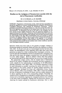 Studies on the Antigens of Paramecium aurelia with