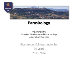 Plasmodium