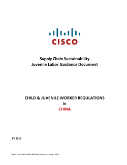 Supply Chain Sustainability Juvenile Labor Guidance