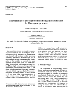 Microprofiles of photosynthesis and oxygen concentration in