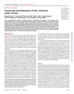 Picosecond amorphization of SiO2 stishovite under tension