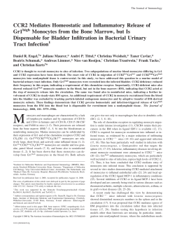 CCR2 Mediates Homeostatic and Inflammatory Release of Gr1high