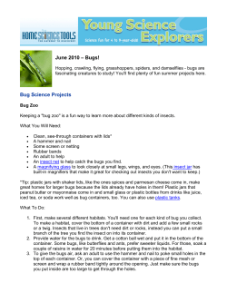 June 2010 &ndash; Bugs! Bug Science Projects