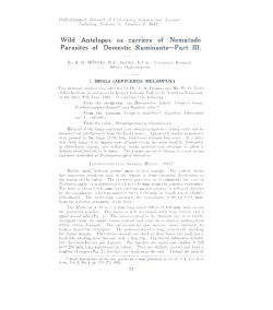 W ild Antelopes as carriers of Nematode Parasites of Domestic