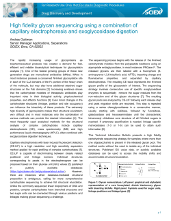 High fidelity glycan sequencing using a combination of capillary