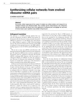 Synthesizing cellular networks from evolved ribosome–mRNA pairs