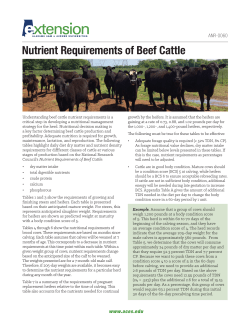 Nutrient Requirements of Beef Cattle