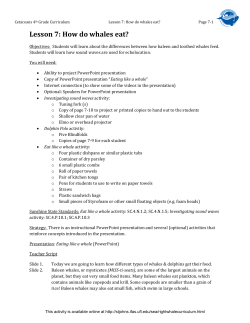 Lesson 7: How do whales eat?